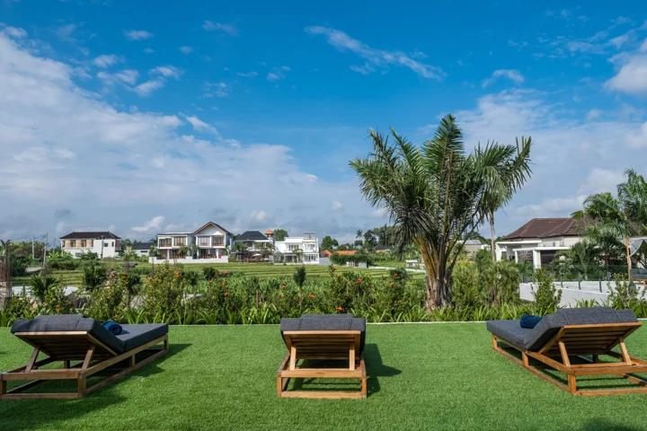 Open green landscape and palms beneath blue sky